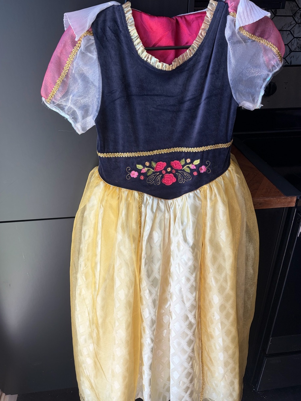 Disney Enchanting Fairy Tale Costume